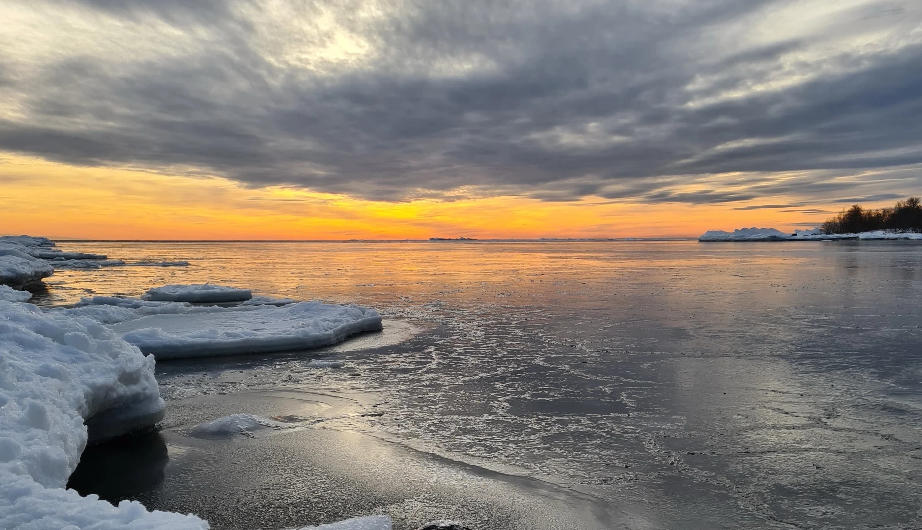 Fascian – det elastiska nätverket som förbinder kropp och själ